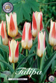 Tulp Johann Strauss met 5 zakjes verpakt a 10 bollen