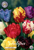 Tulp Parrot Mixed met 5 zakjes verpakt a 7 bollen