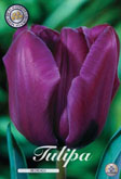 Tulp Recreado met 5 zakjes verpakt a 10 bollen