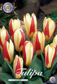 Tulp The First met 5 zakjes verpakt a 10 bollen