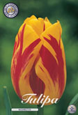 Tulp Washington met 5 zakjes verpakt a 10 bollen